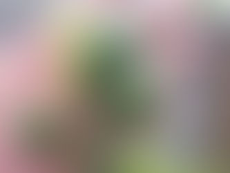 イチジク来た~~~~!!