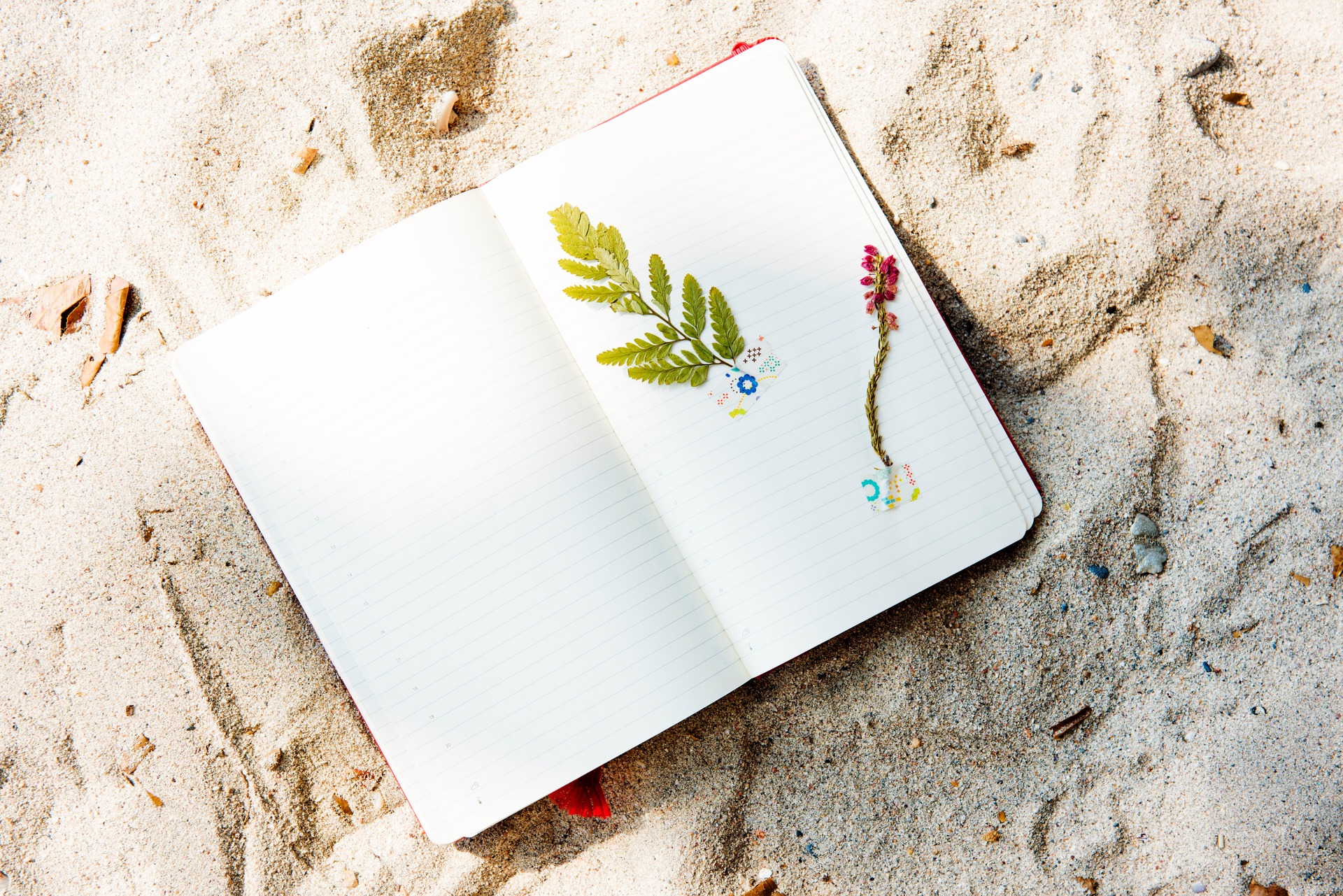 Scrapbooking for nature lovers content media