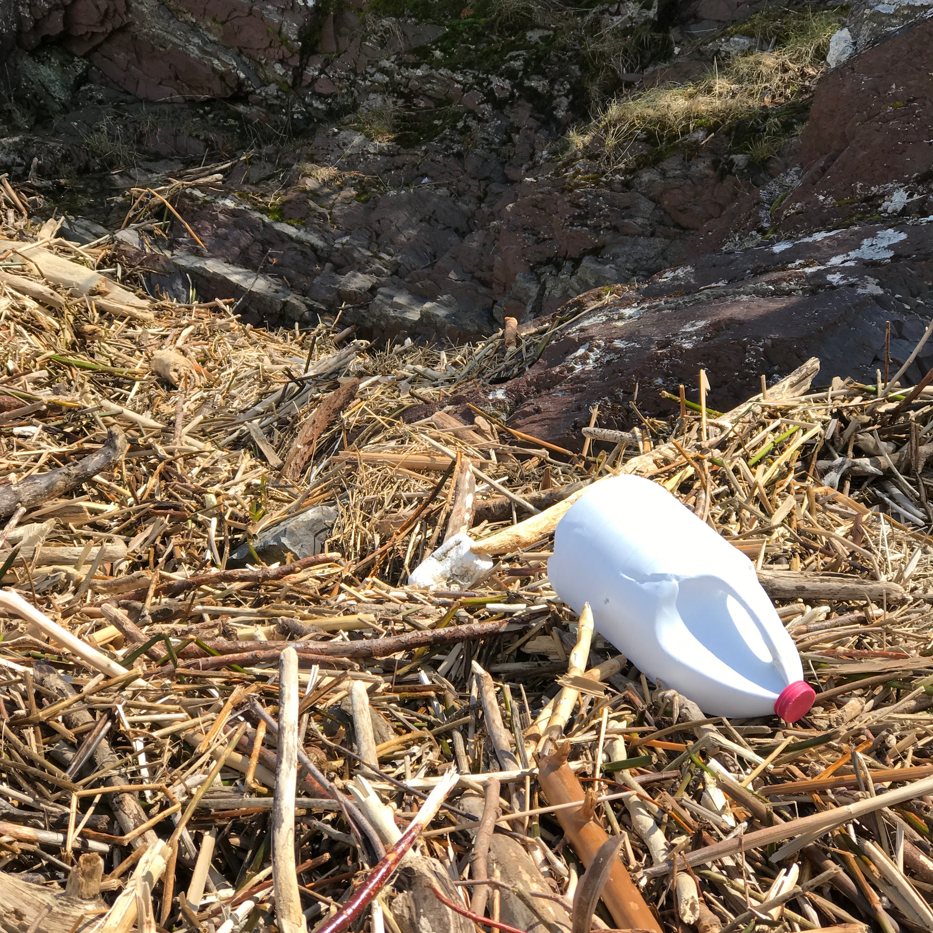 belle bouteille d'eau de javel sans marque content media