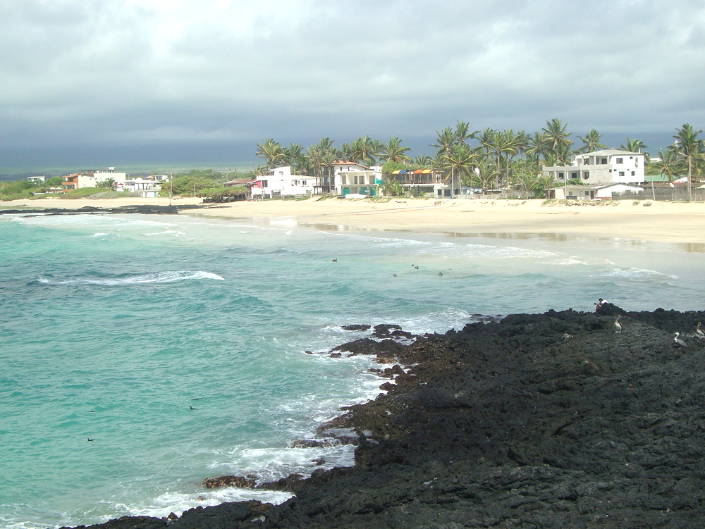 Playas, rocas volcánicas, mar turquesa, islas paradisíacas, islas Galápagos, Ecuador Sudamérica