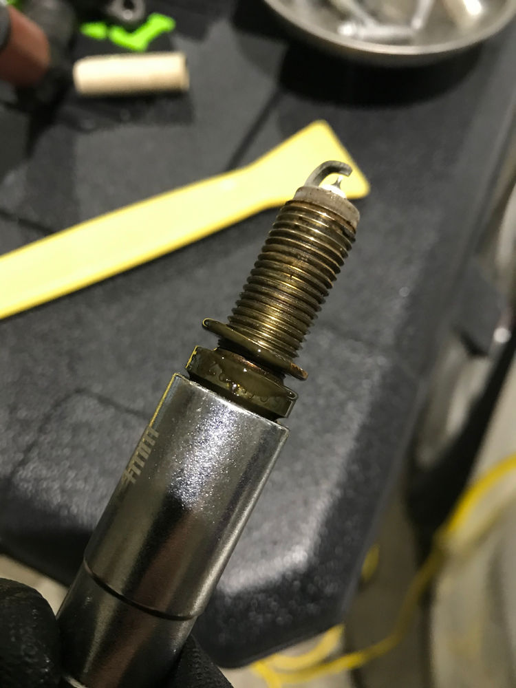 M276 valve cover seal Leighsr