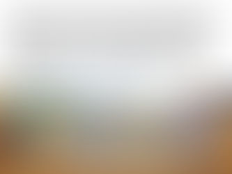 New Picture Books from VOX