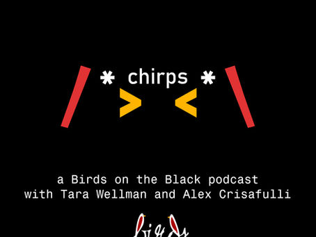 [Podcast] Chirps: No Reinforcements for you!