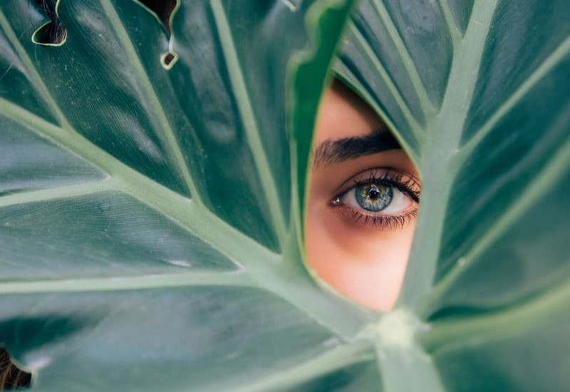 green and organic skincare product blog