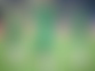 מכבי חיפה – אירופה??/ דותן מנדל