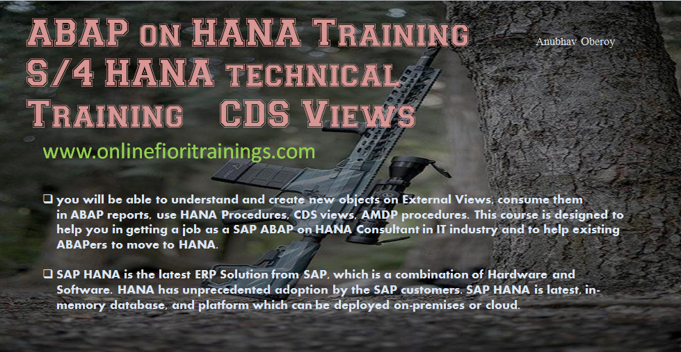 ABAP on hana training online content media