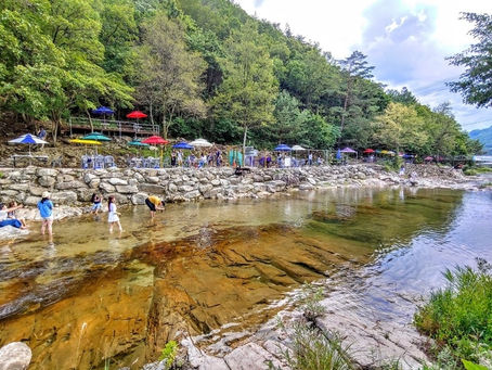 “올 여름 휴가는 깨끗해진 경기도 계곡으로 놀러오세요~”
