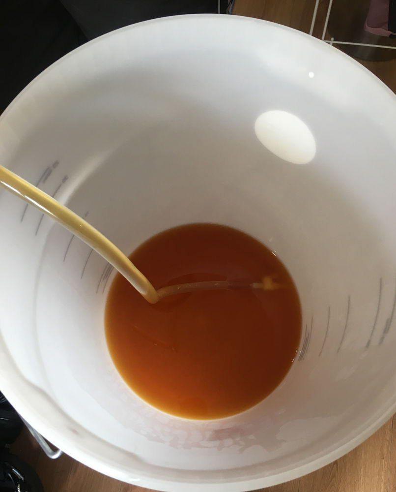 Brew 6 Juicy Fruit Pale Ale (Mosaic and Simcoe)