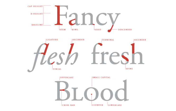 brand logo design