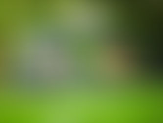 A Taxi Driver (2017)