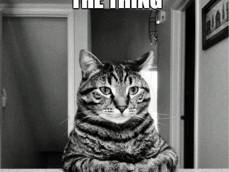 The Secret Language Of Cats