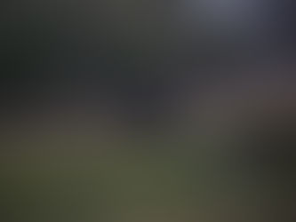 Letzter Morgen Okavango