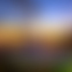 CAMPINA GRANDE NO MUNDO DA FEITIÇARIA