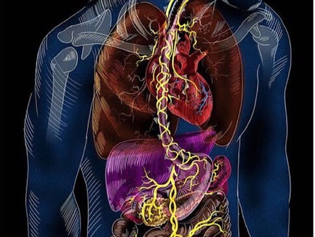 The Vagus Nerve & Cryo