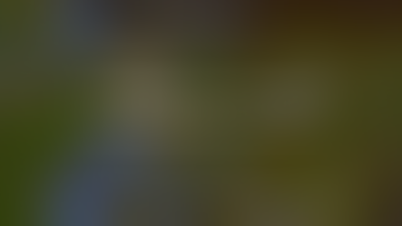 Staking Odds Confirmed (Flick vs Lash)