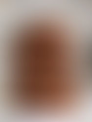 Sweet & Salty Tahini, Almond & Chocolate Chip Cookies