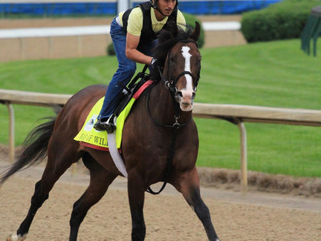 The History of the Risen Star Stakes (G2) & 2020 Contenders