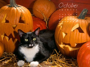 test blog: music to listen to in October