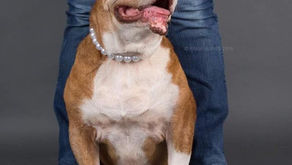 Find Your Kindred Spirit...