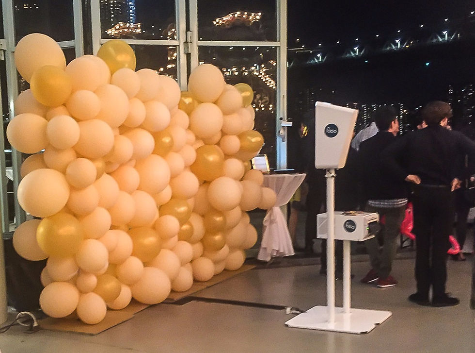 Organic balloon wall with selfie booth for a birthday party at Jane's Carousel in Dumbo Brooklyn, New York.
