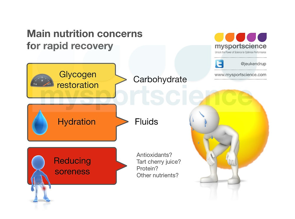 www.mysportscience.com