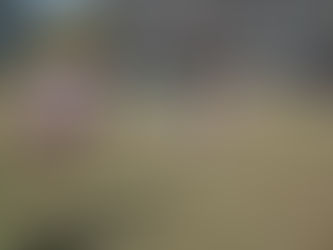 Juegos Bonaerenses 2019: se disputó la etapa local de Fútbol Escolar Abierto