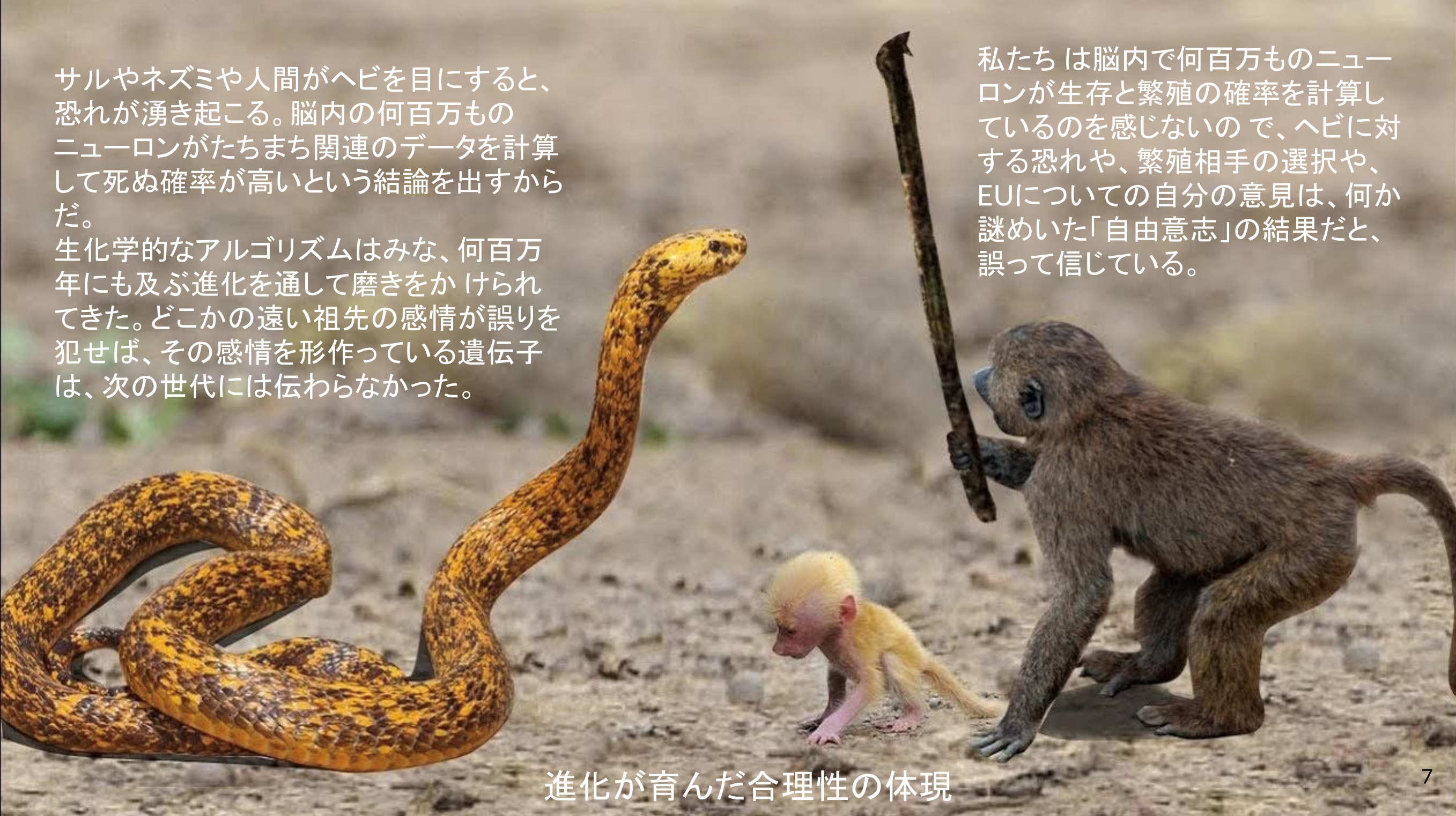 3 自由 Liverty
──ビッグデータがあなたを見守っている
Big Data is watching you content media