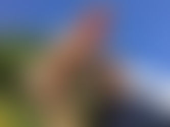 Karl L’OVNI aux cent heures d’impression3D en Live !