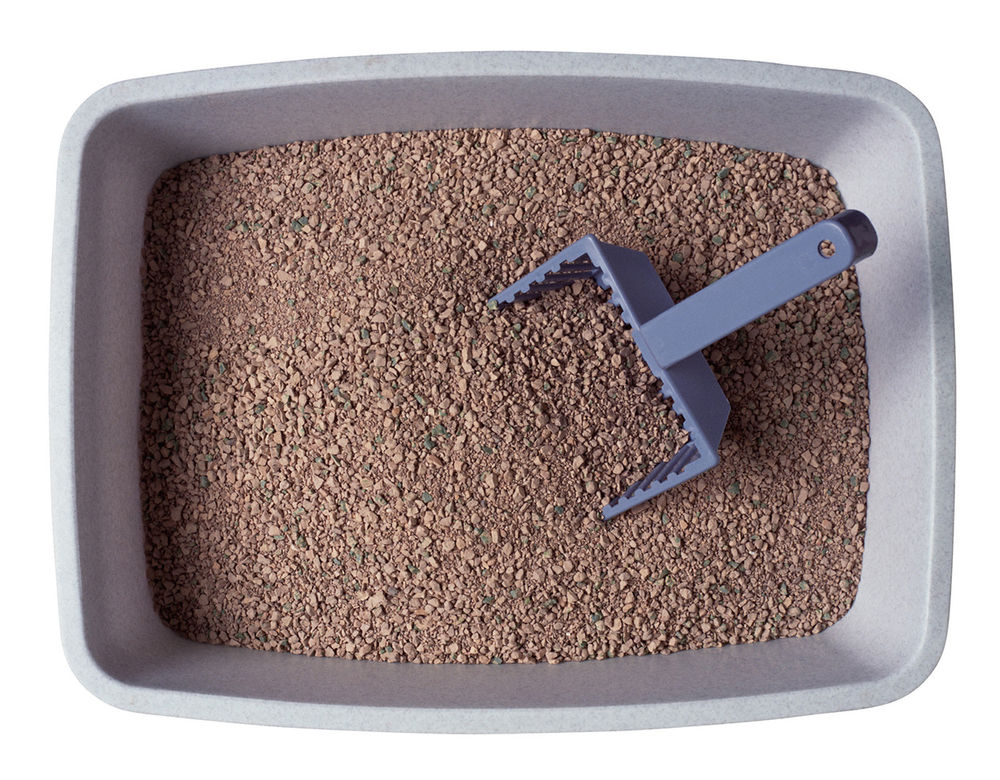 The History of Litter