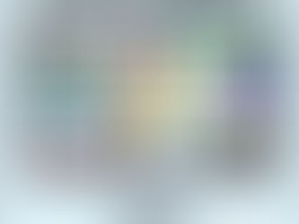 🔥Kevin 老師 Chemist Warehouse 開箱下集~第二彈拉🔥