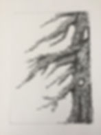 ree