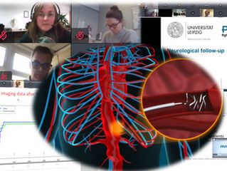 Research goes on! PAPAartis meets virtually to discuss progress and plans.