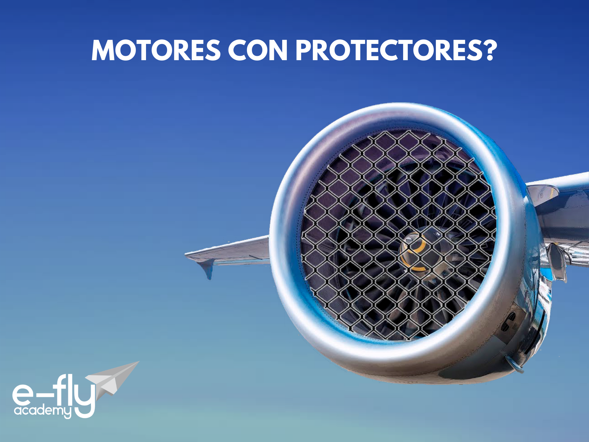 Por qué los motores de los aviones no pueden estar recubiertos de algún protector contra pájaros??? content media