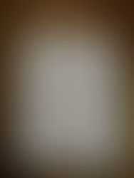 Trade secret for sale at Draculainthehart@gmail.com