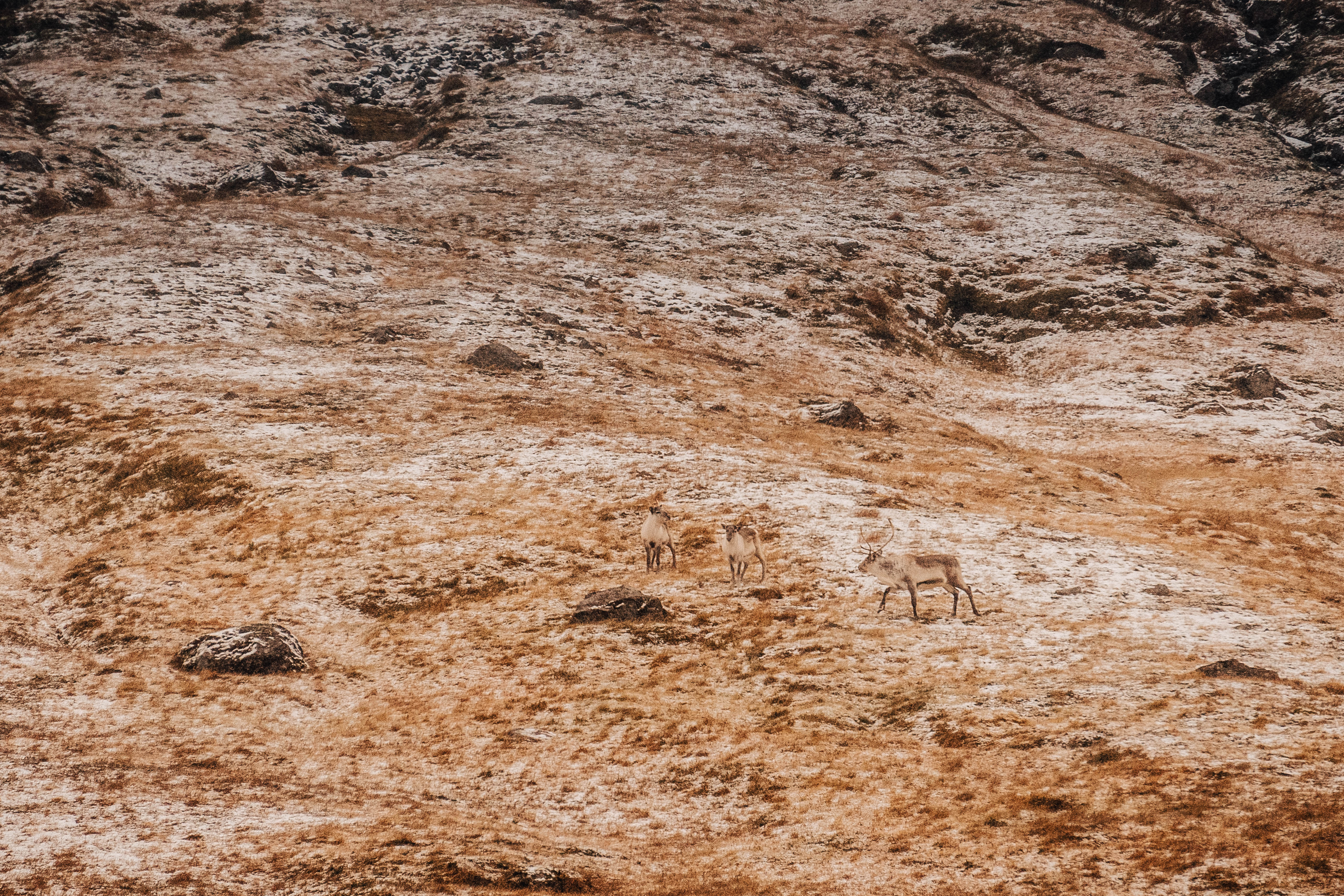 Problém s Lightroom a presety content media
