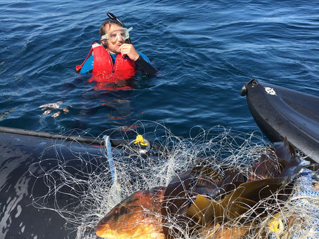 Eddystone Gill Net Retrieval