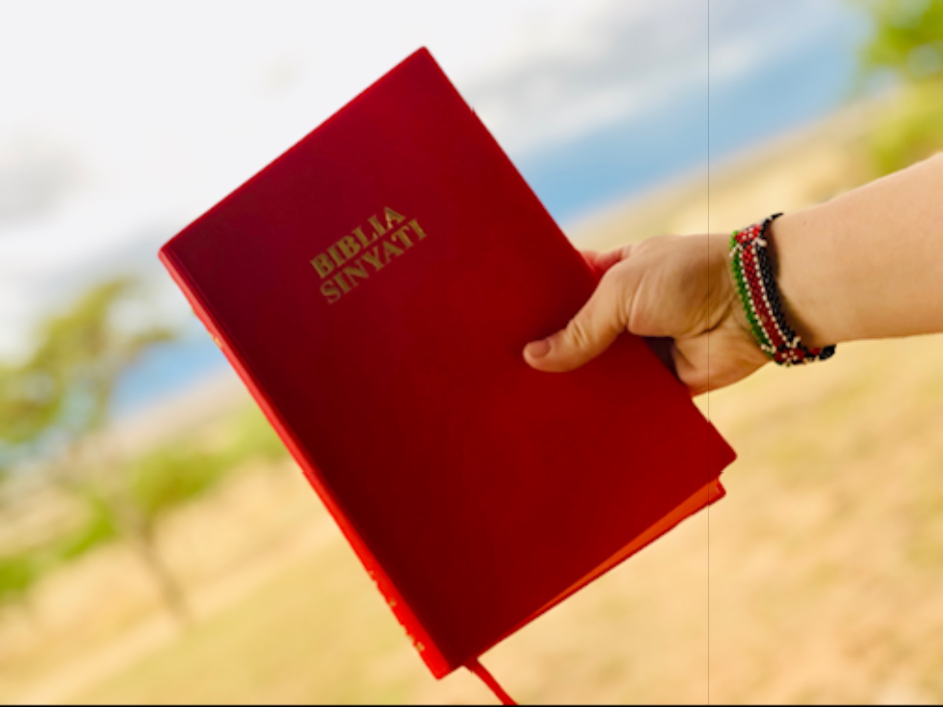 Bibles!!! content media