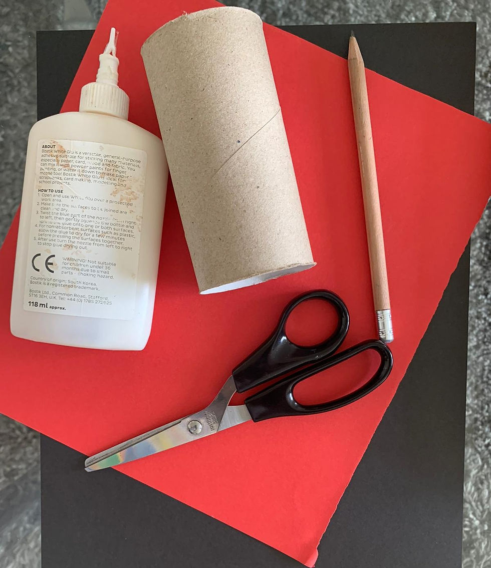 Supplies for Ladybug