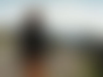 Honestidad marchita: Frankie, de Ira Sach