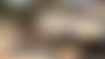শহরে এসে পৌঁছল কেন্দ্রীয় বাহিনীর একটি কোম্পানি