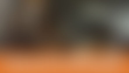 #ReleaseTheBeagles | When will the Corteva beagles be released for adoption?