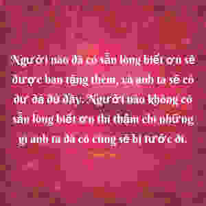 Phép màu - lòng biết ơn