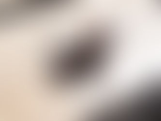 新しく仲間が増えました