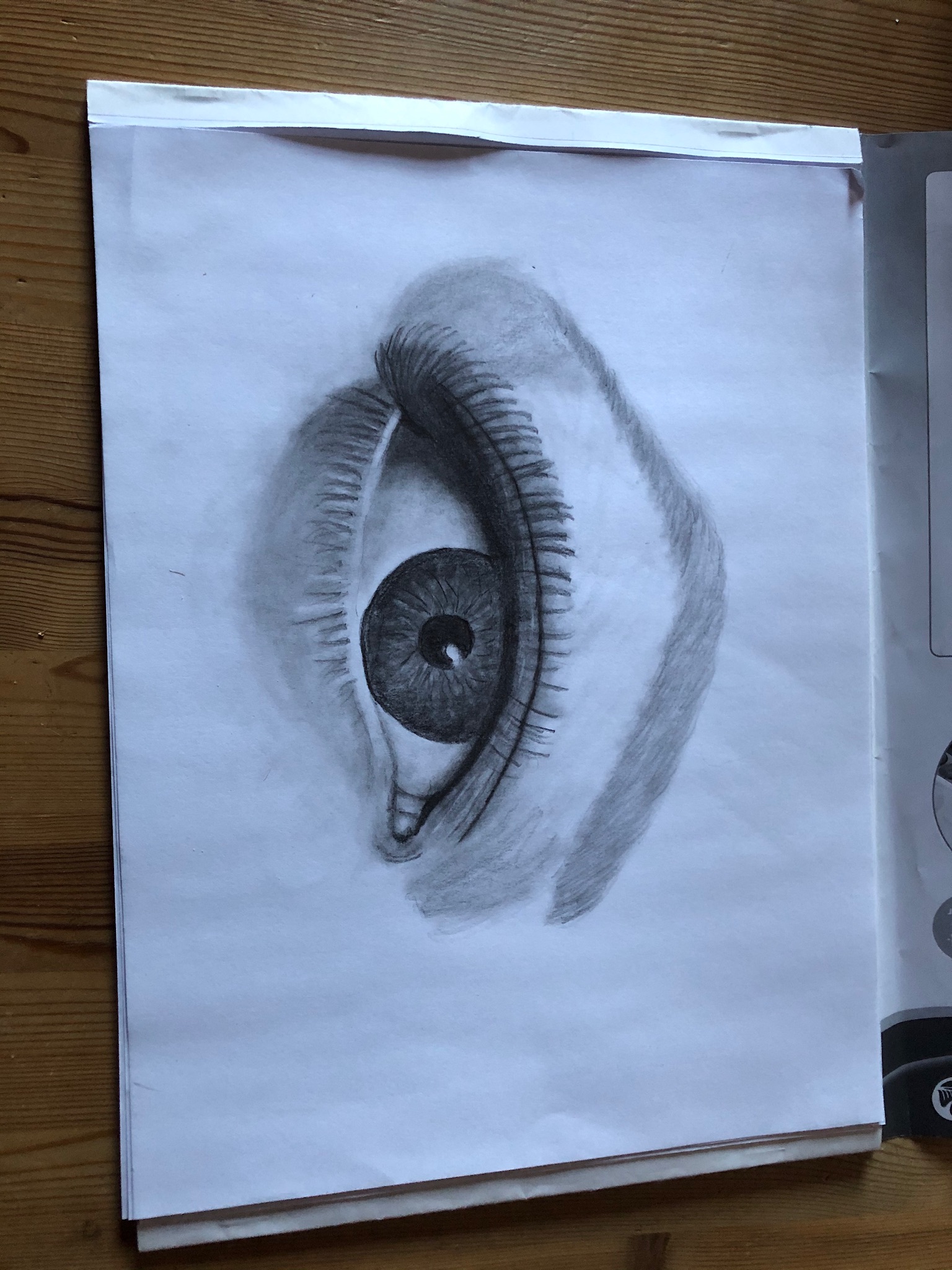 Mein erstes Auge content media