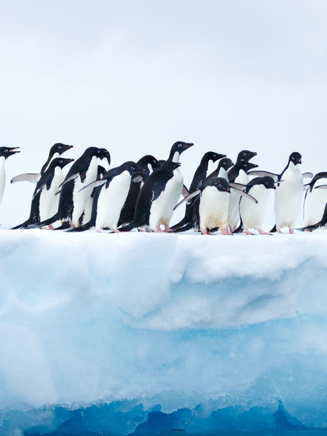 How to Make Your Writing PoP