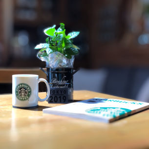 スターバックス
