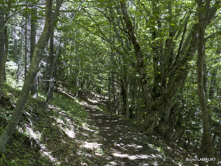 Sortie du dimanche groupe "techn"