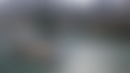 Terminal de Pesca terá investimento em parceria, garante secretário da Pesca à deputada Rosana Valle