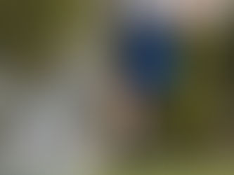 Bolívar enfocará su trabajo en la parte física de sus jugadores