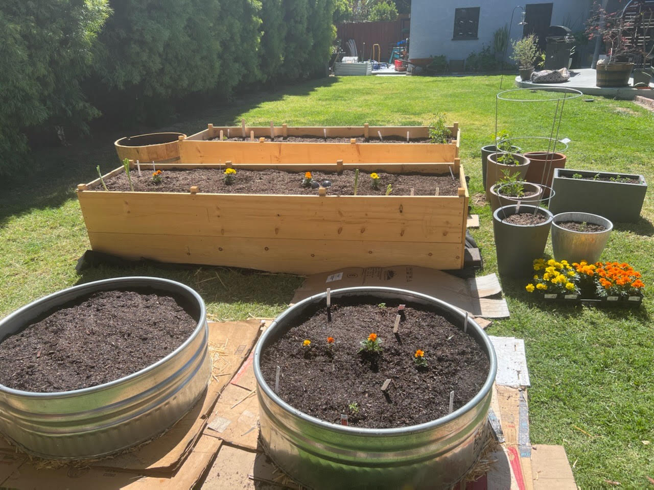 Garden progress! content media